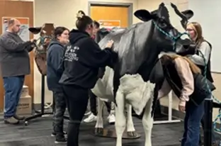 People with Cow
