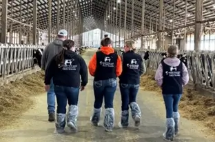 Dairy Farmers